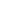 airlplane icon